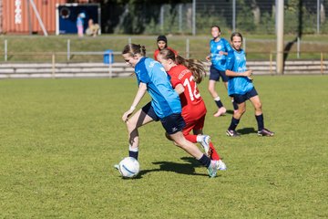 Bild 340 - wBJ TuS Rotenhof - Holstein Kiel : Ergebnis: 1:4